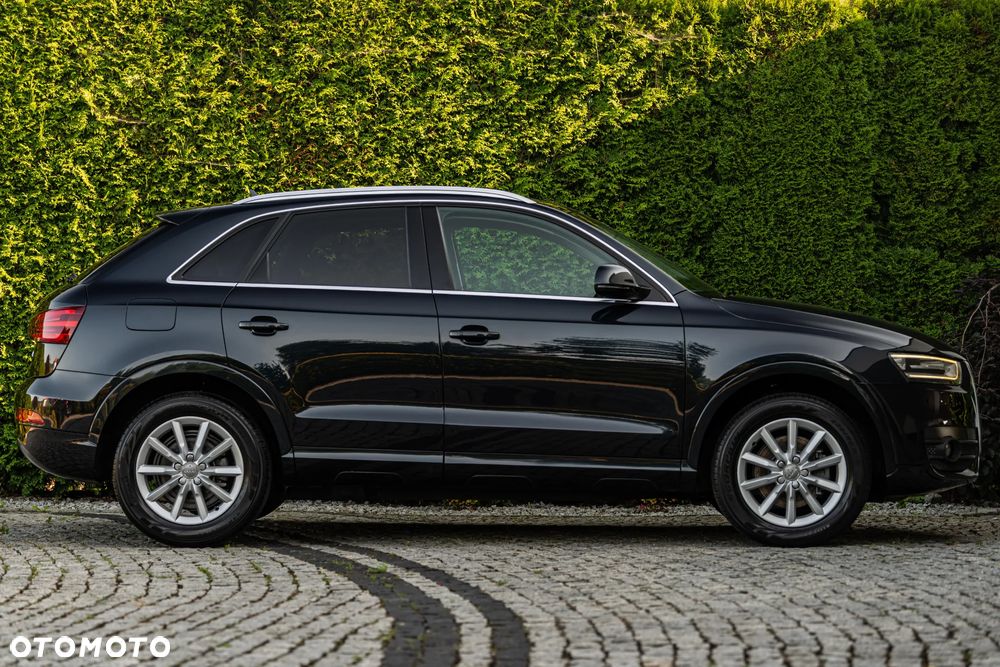Audi Q3 - 19