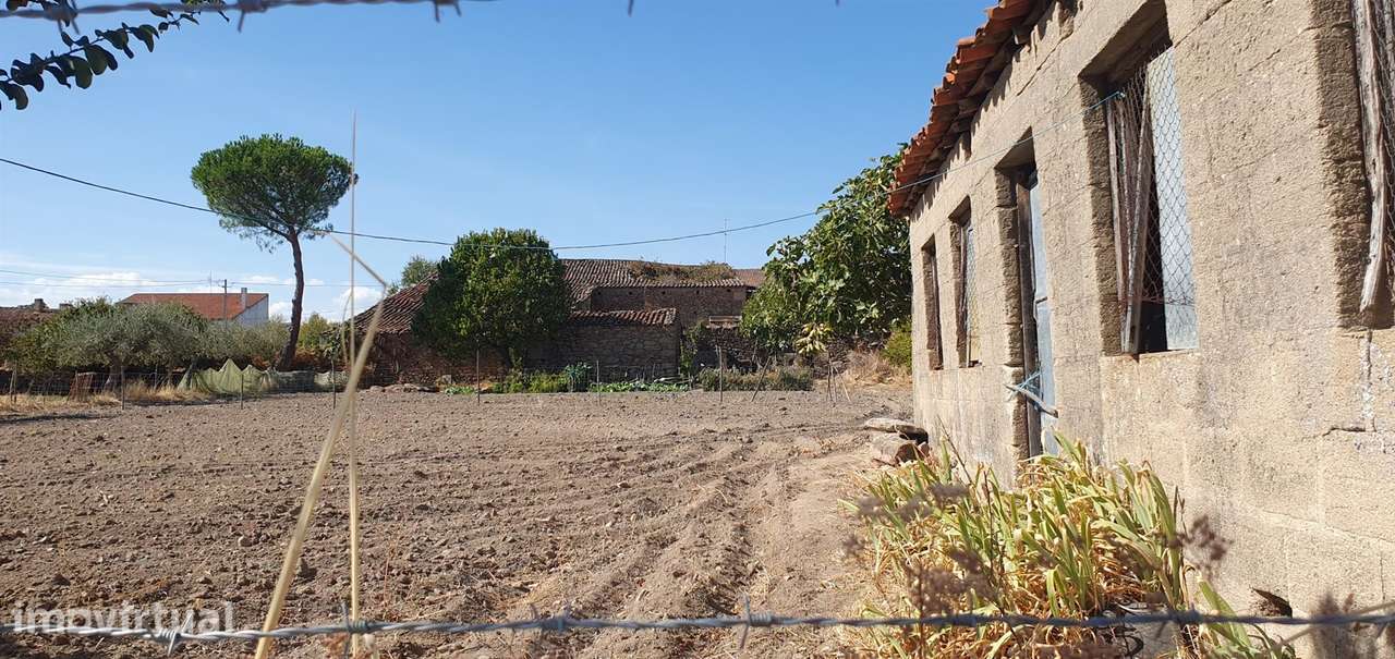 Terreno Rústico  Venda em Algodres, Vale de Afonsinho e Vilar de Amarg - Grande imagem: 4/6