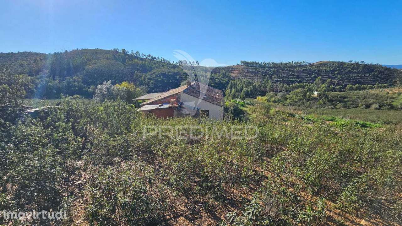 Monte Alentejano Farrobo Barragem Santa Clara - Grande imagem: 3/27
