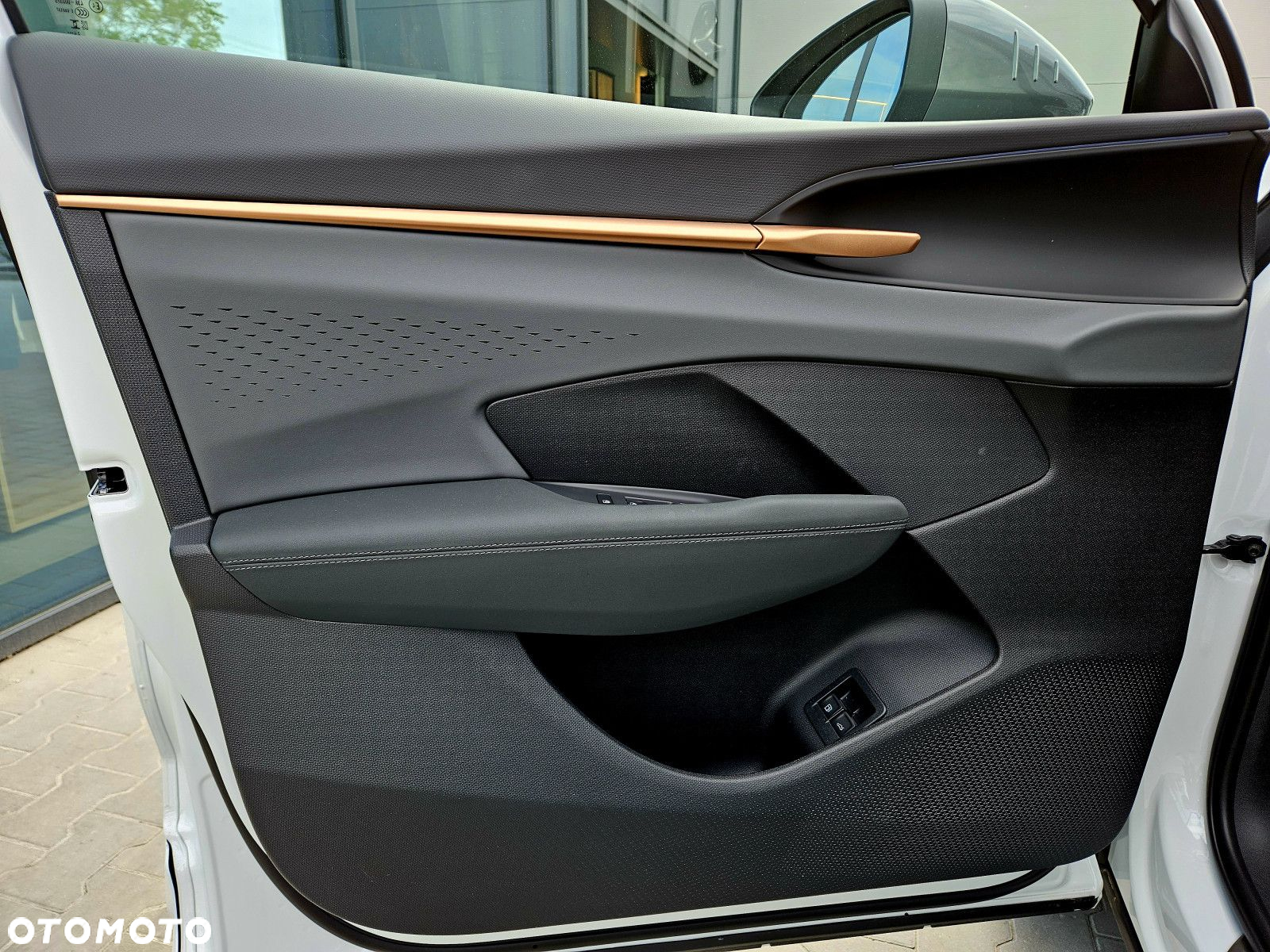 Cupra Terramar - 11