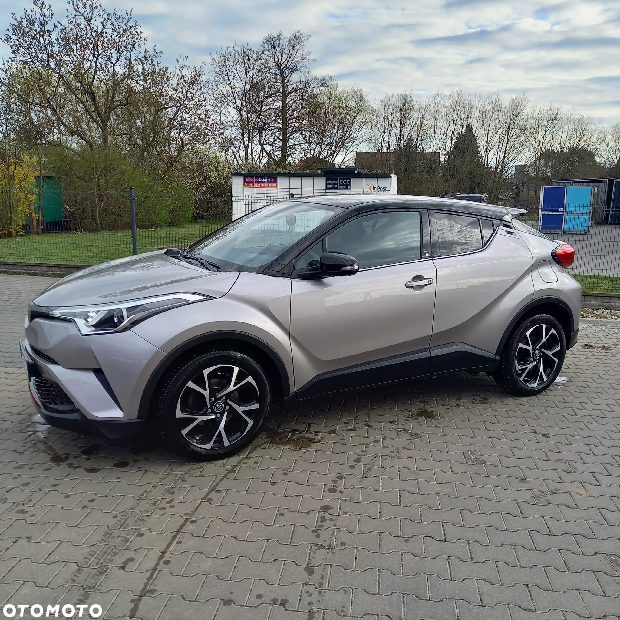 Toyota C-HR 1.2 T Dynamic - 5