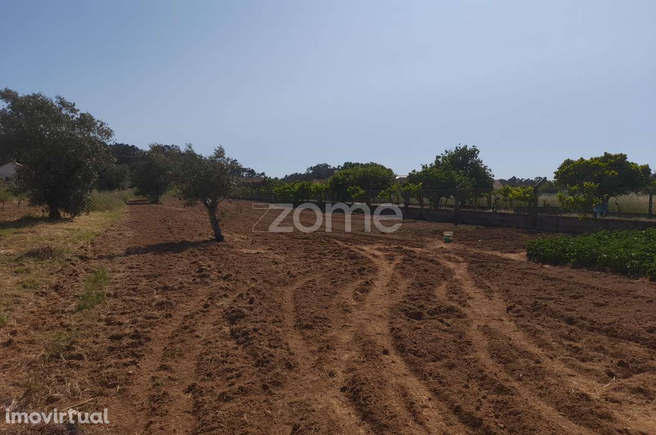 Terreno Rustico - Grande imagem: 5/27