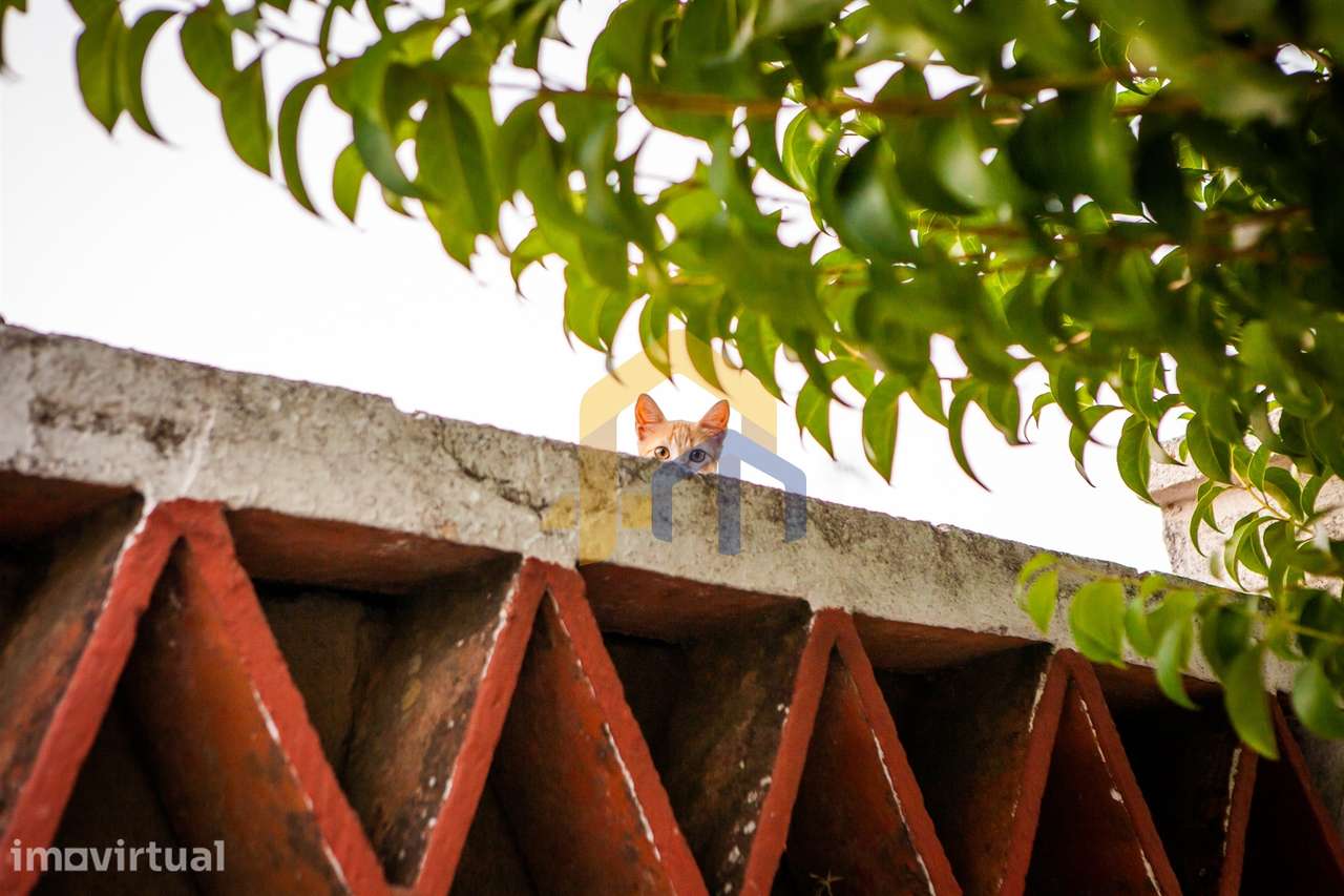 Armazém  Venda em Estremoz (Santa Maria e Santo André),Estremoz - Grande imagem: 5/7