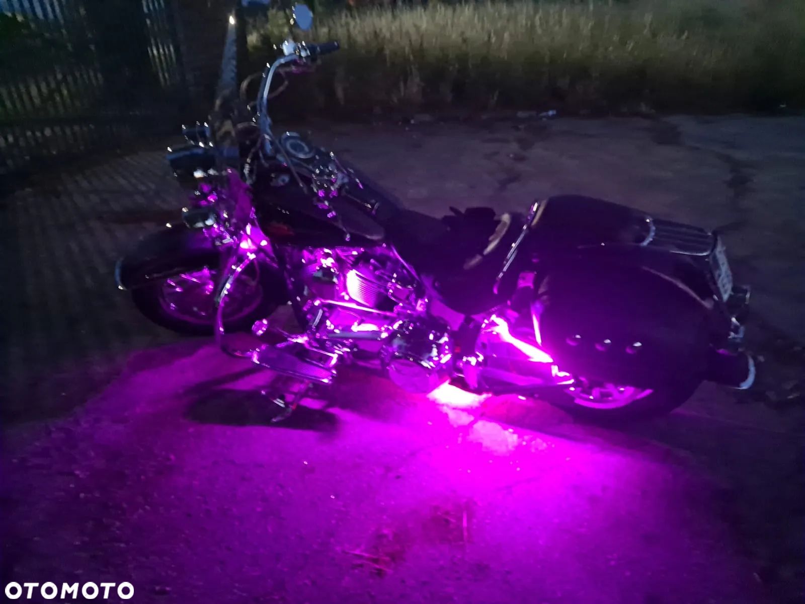 Harley-Davidson Softail Deluxe - 1
