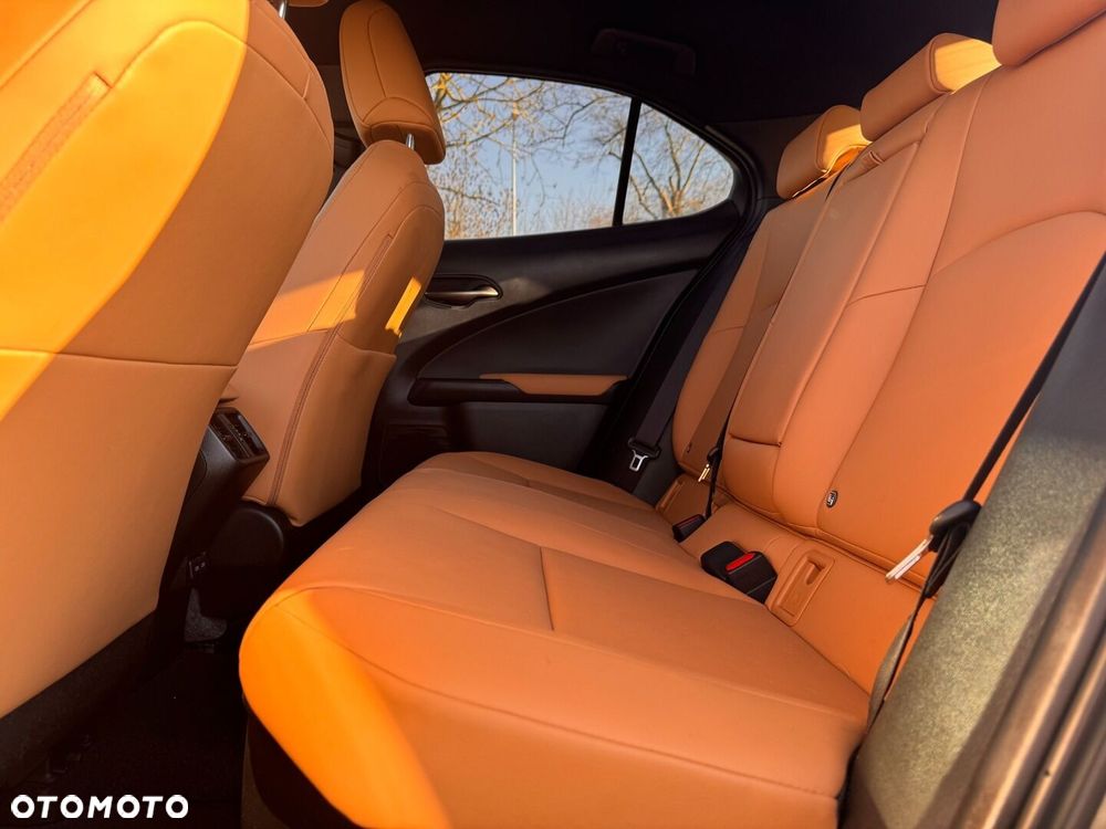 Lexus UX 250h GPF F Sport Design 2WD - 11