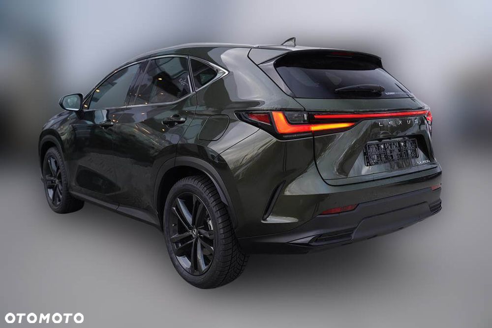 Lexus NX - 6