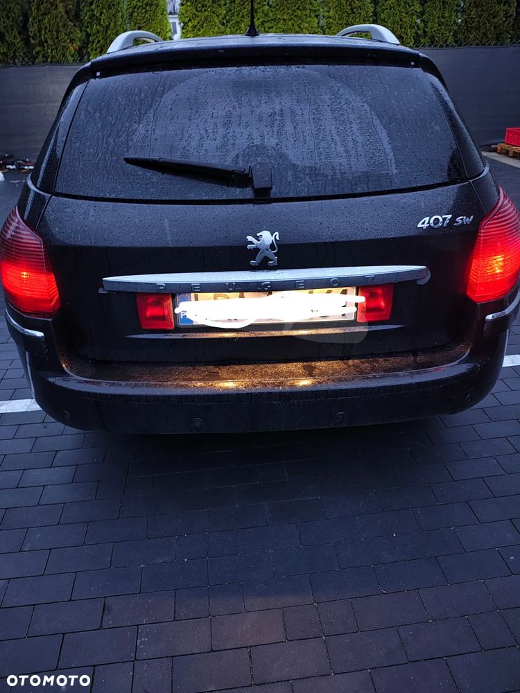 Peugeot 407 - 6
