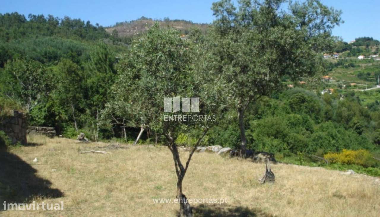 Venda Quinta com Moradia para reconstruir, Magrelos, Marco de Canavese - Grande imagem: 2/12