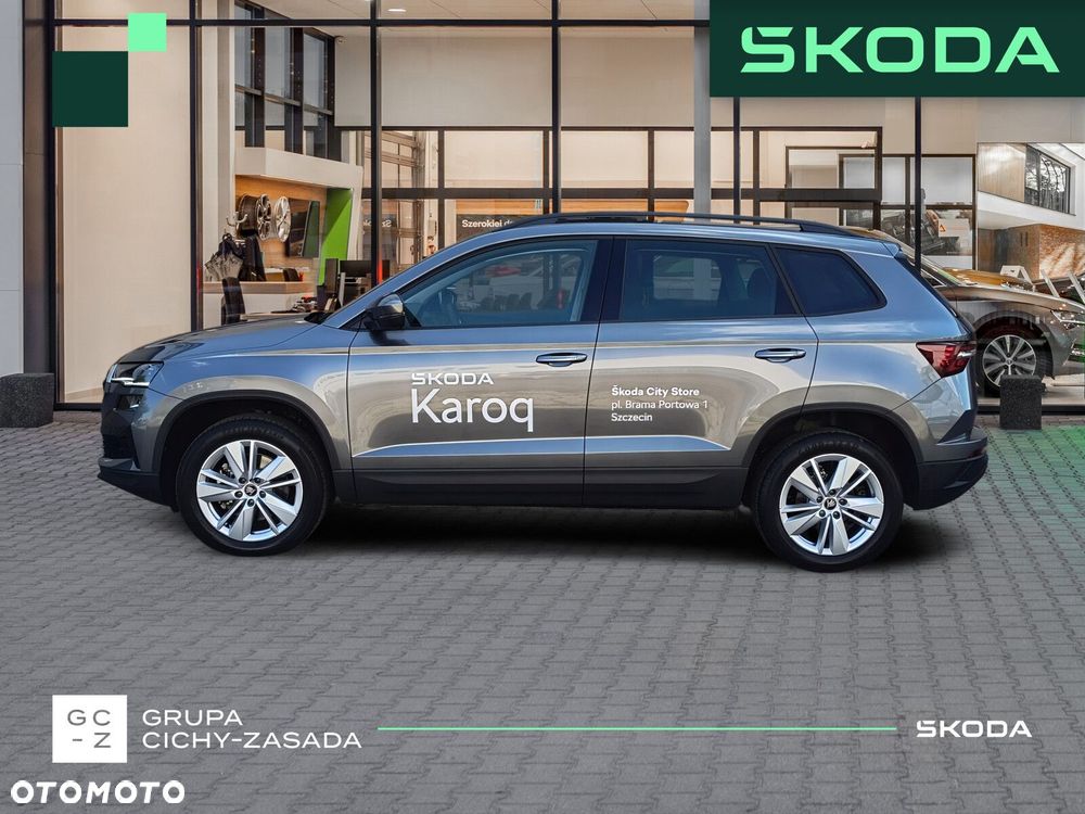 Skoda Karoq - 3