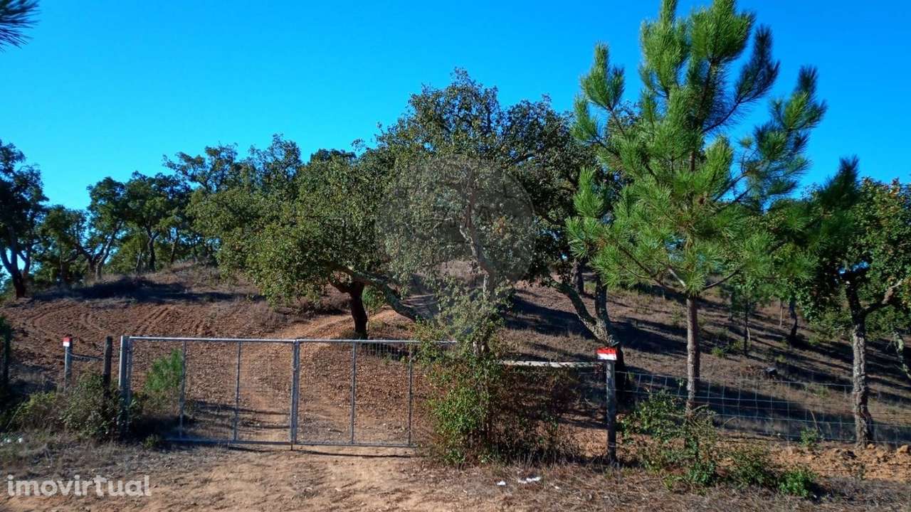 Terreno  para venda - Grande imagem: 5/17