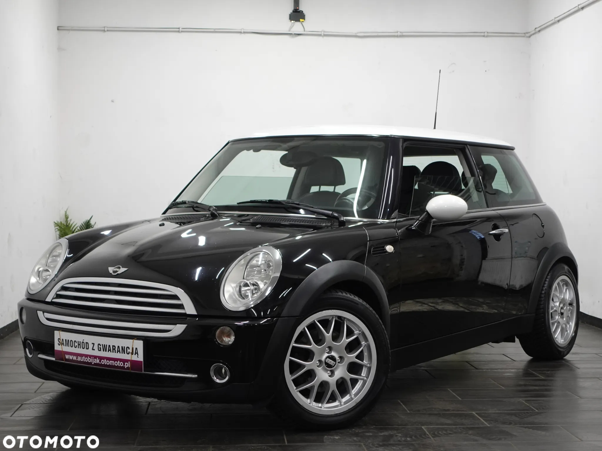 MINI Cooper pepper - 13
