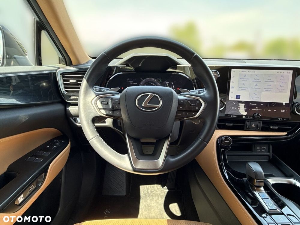 Lexus NX - 18