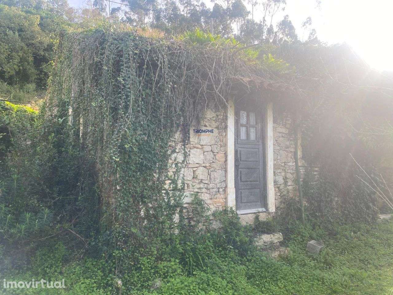 Casa Rústica Srº do Monte Leiria - Grande imagem: 2/21