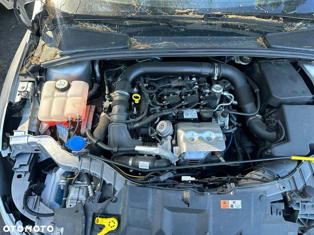 Ford Focus - 5