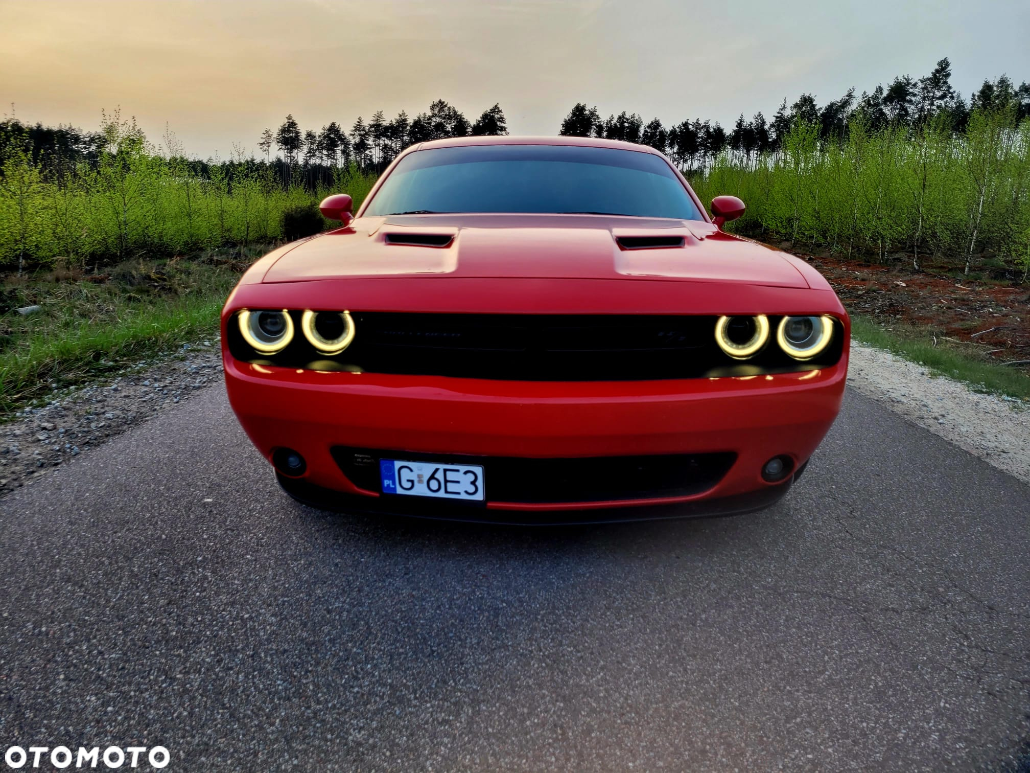 Dodge Challenger Automatik R/T Plus - 3