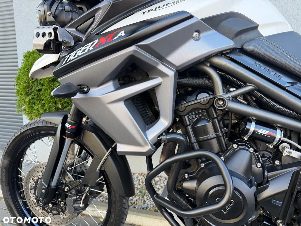 Triumph Tiger - 30