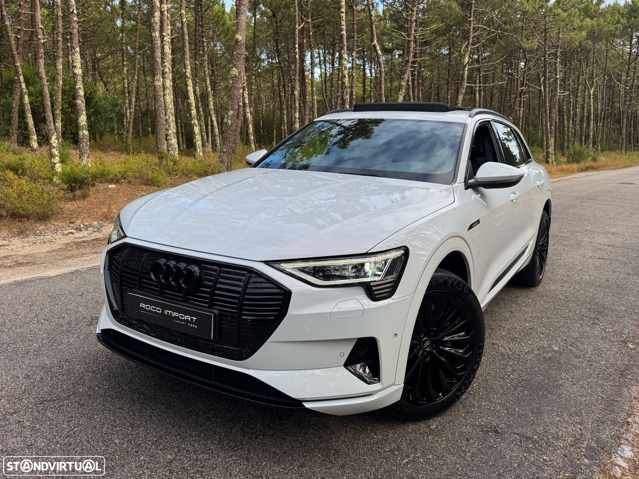 Audi e-tron 55 quattro - 1