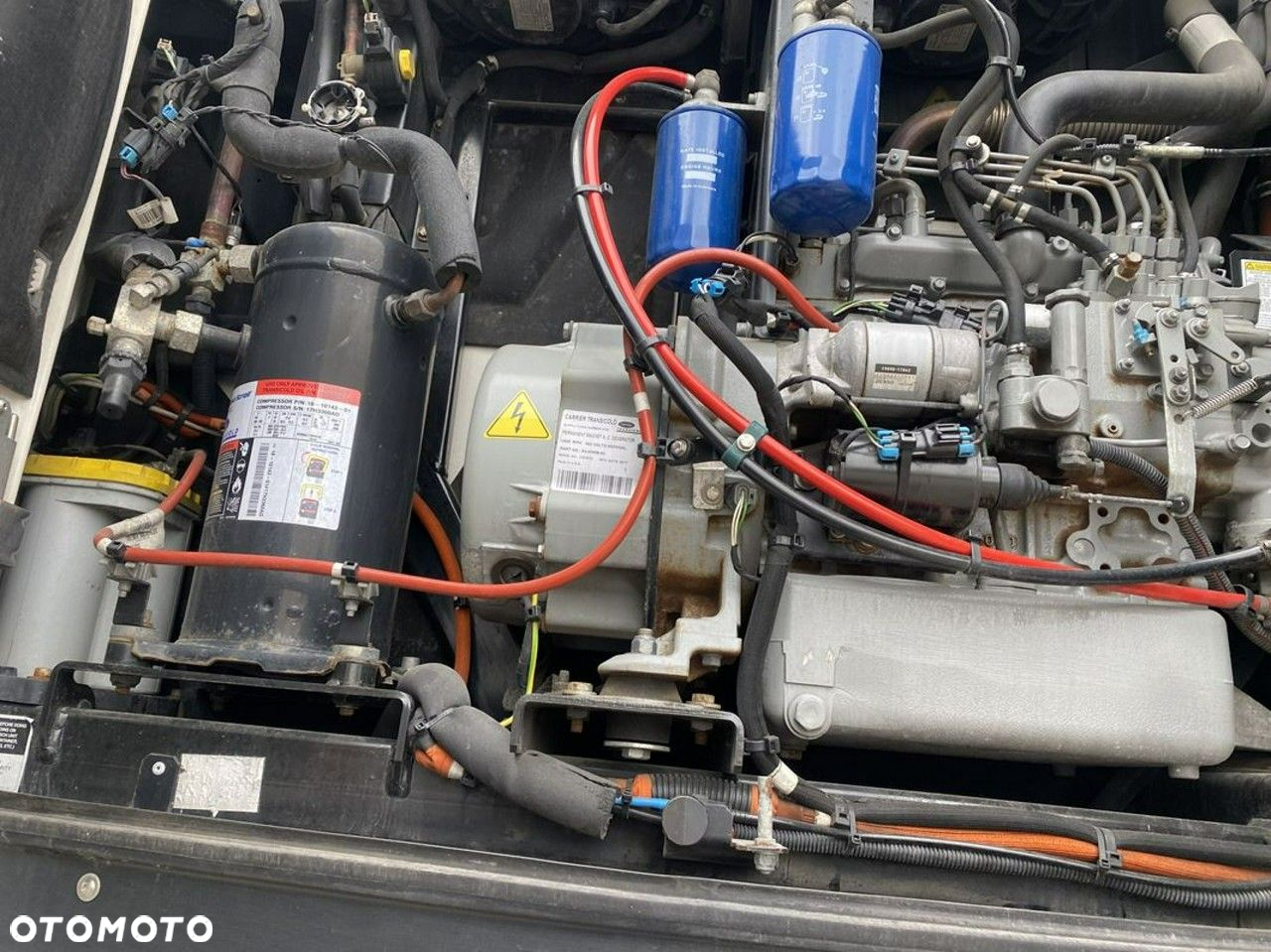 Schmidt scb*s3t - 14