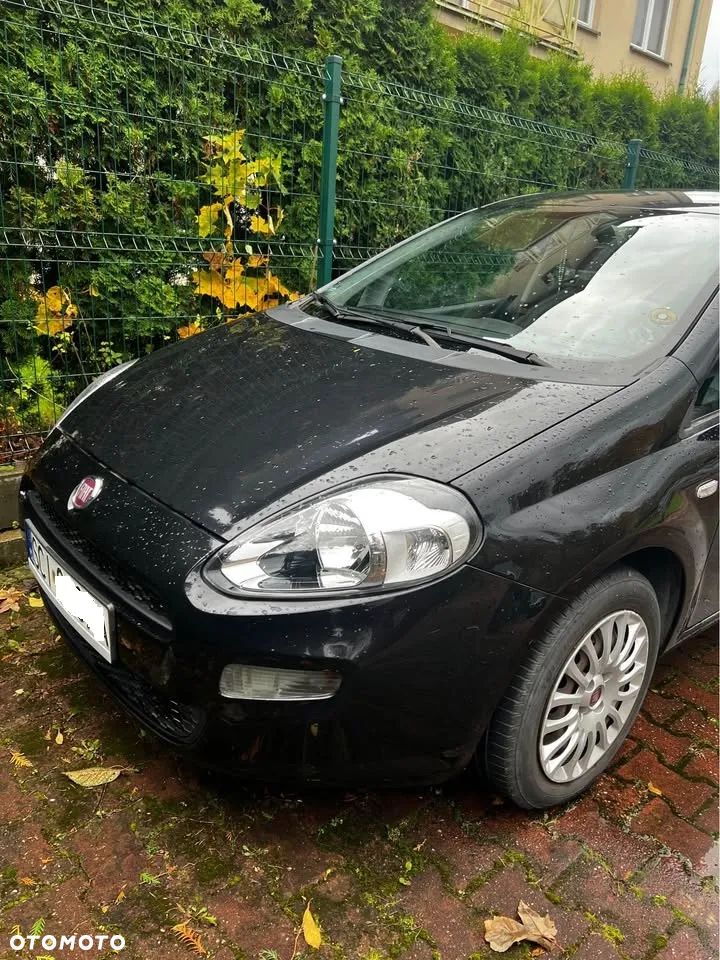 Fiat Punto - 2