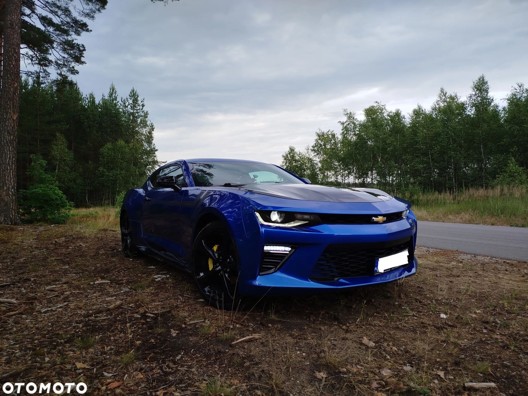 Chevrolet Camaro Coupe 2.0 - 1