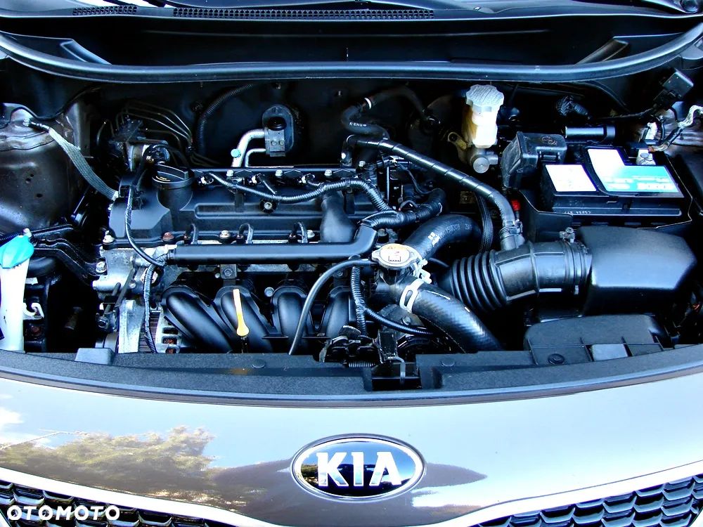 Kia Rio 1.2 ISG Dream-Team Edition - 17