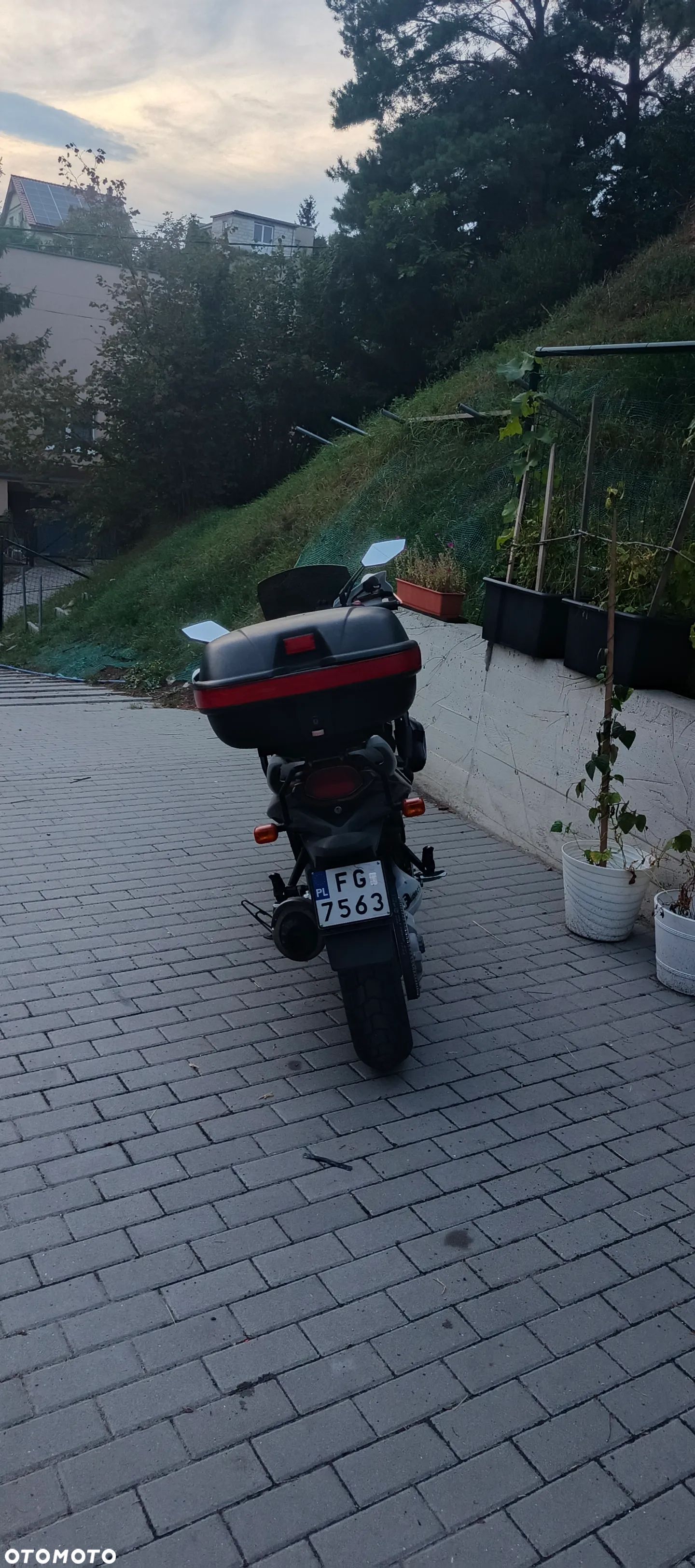 BMW F