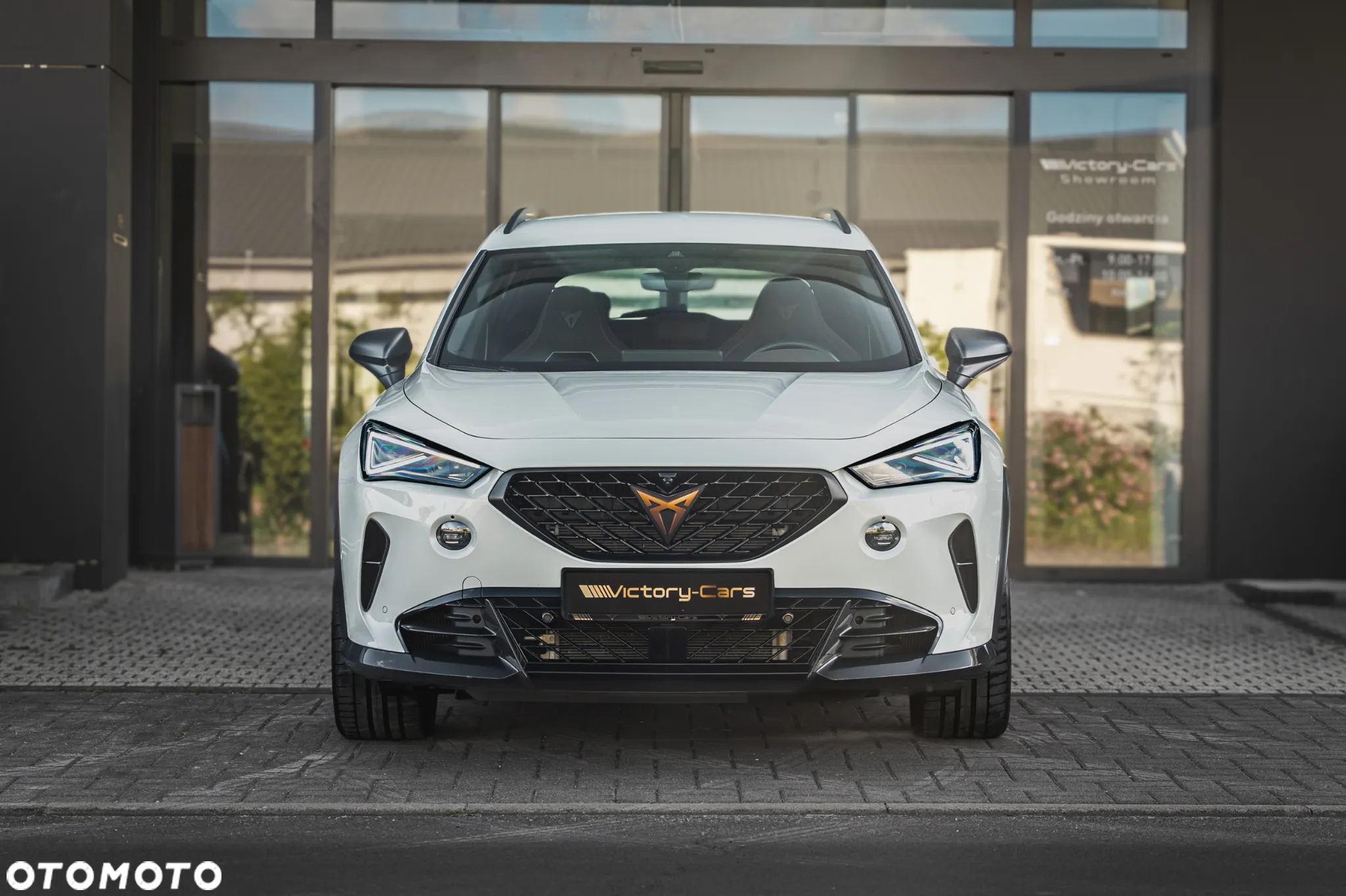 Cupra Formentor 2.5 TSI 4Drive VZ5 Taiga Grey DSG - 8