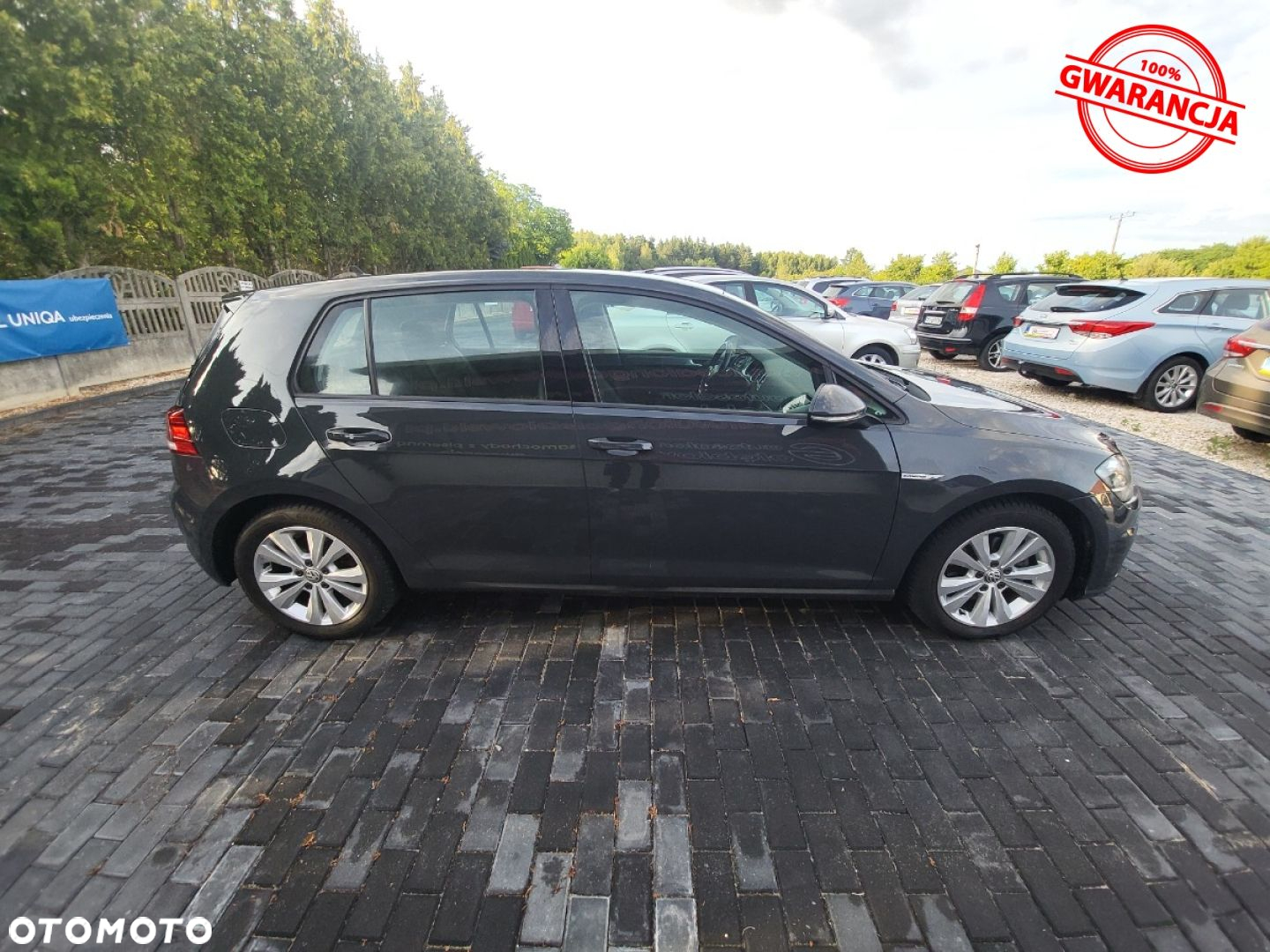 Volkswagen Golf - 13