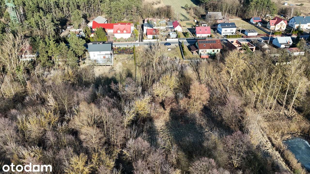 Działka 3712m2 z dostępem do Warty, pozwoleniem na budowę i projektem - Pełny obrazek: 5/5