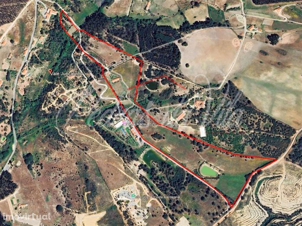 Quinta com 6,5ha em Vale Juncal - São Teotónio - Grande imagem: 5/60