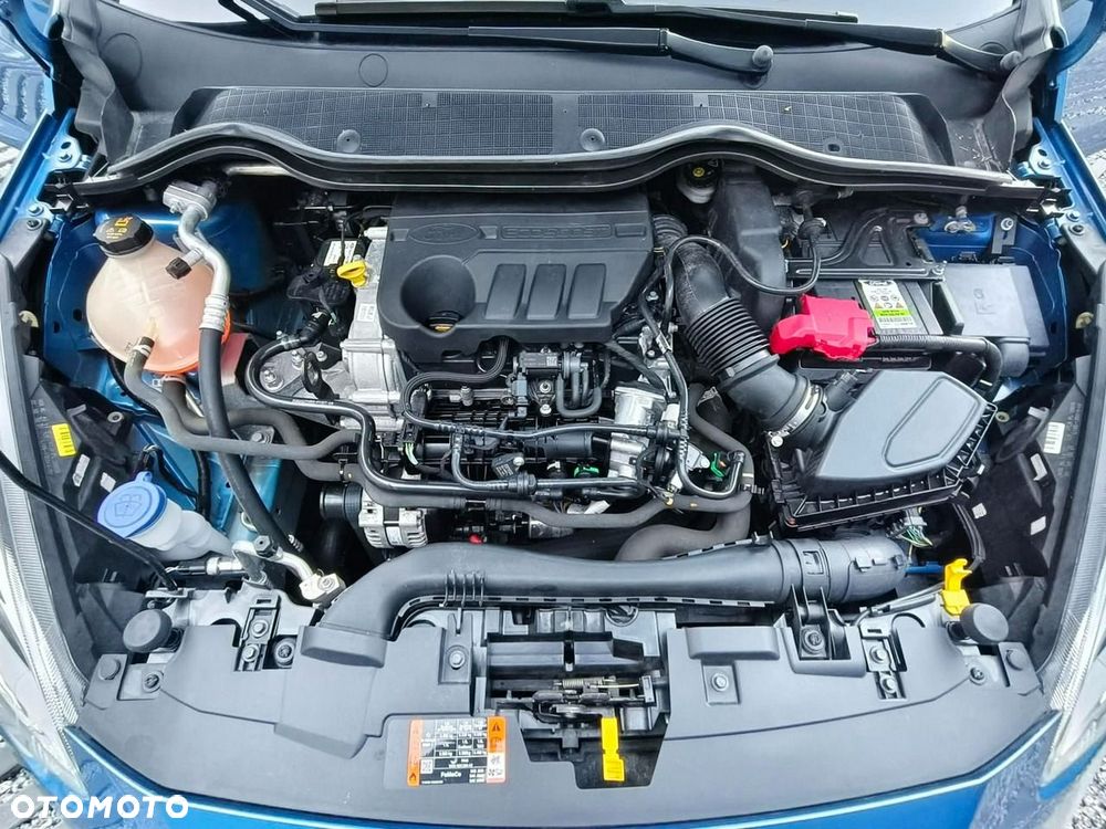 Ford Fiesta - 23