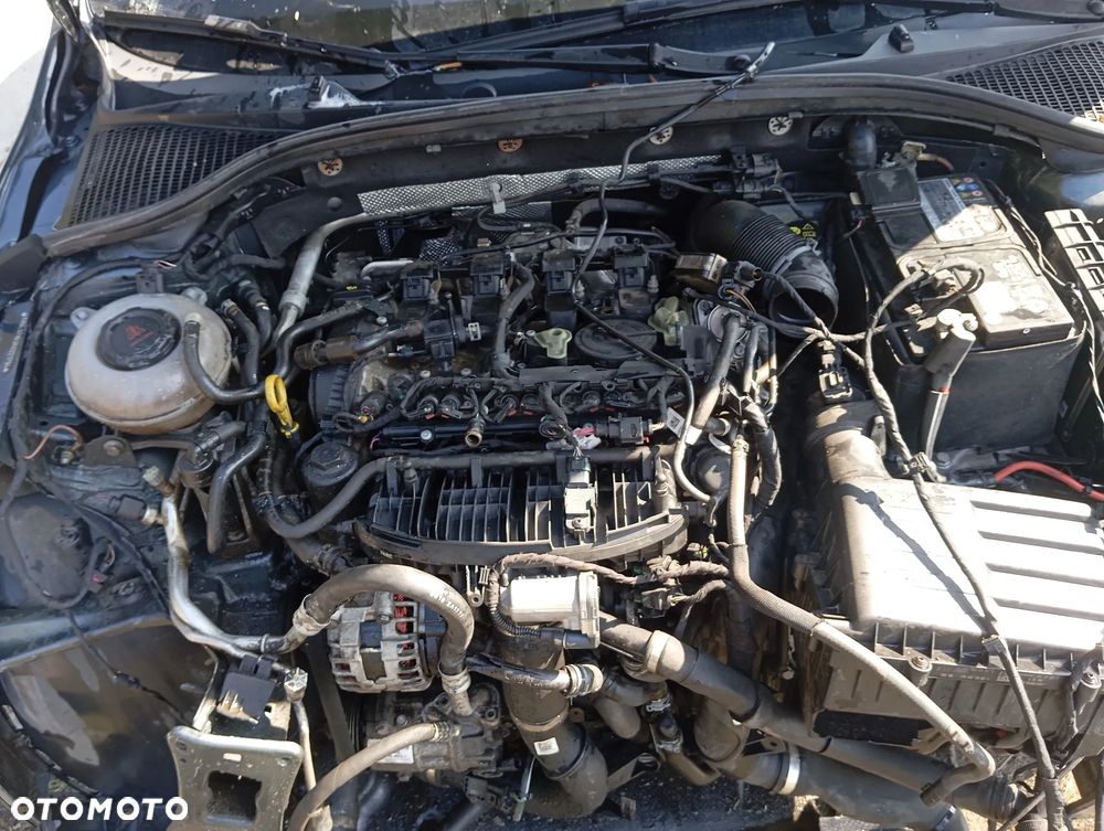 Skoda Octavia 2.0 TSI 4x4 DSG Scout - 14