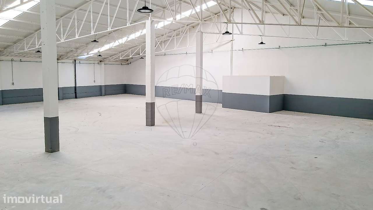 Armazém  para arrendamento - Grande imagem: 5/19
