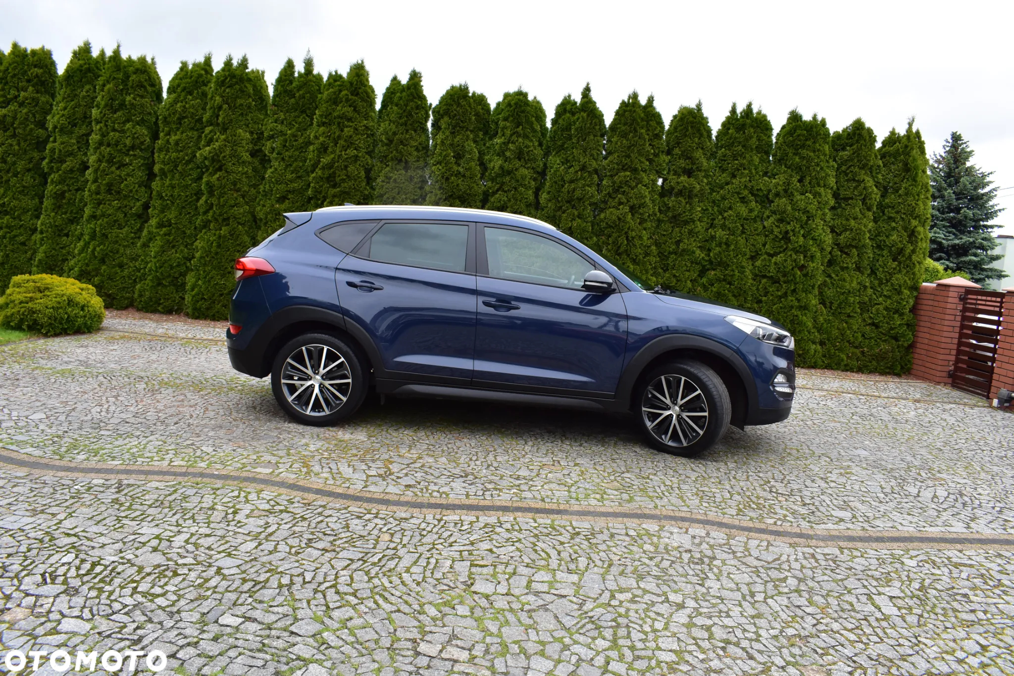 Hyundai Tucson blue 1.6 GDi 2WD Intro Edition - 26