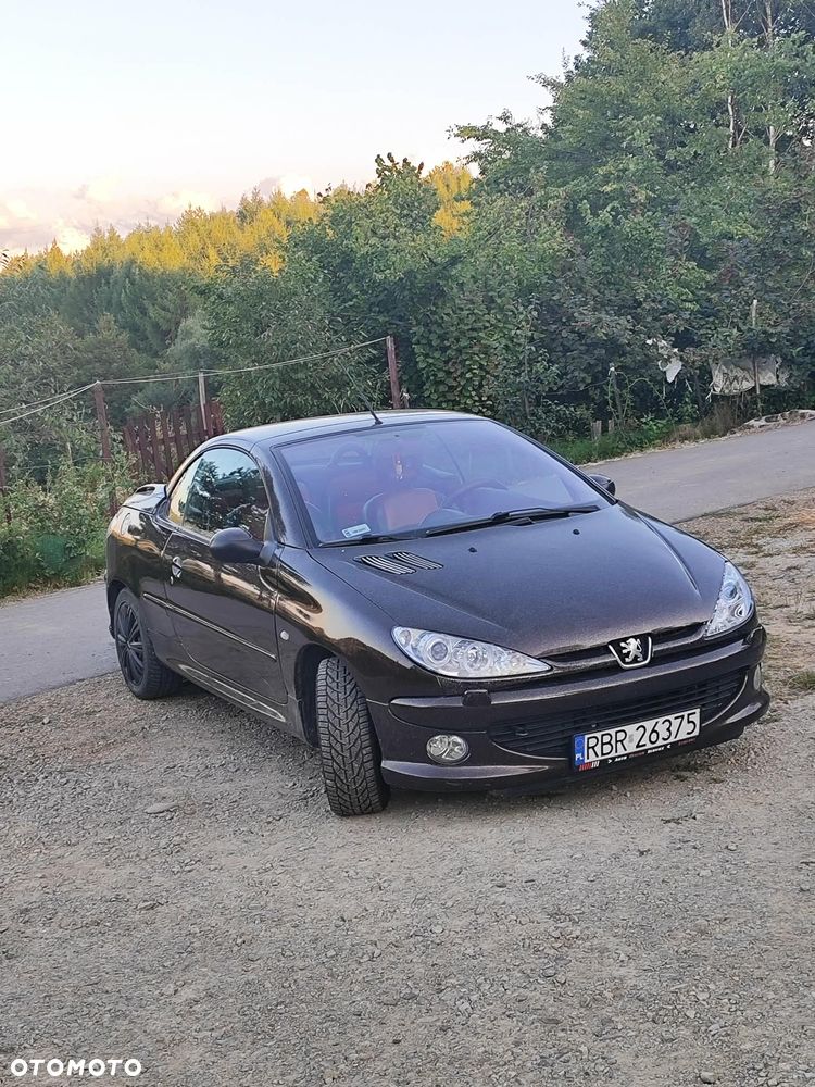 Peugeot 206 CC - 2
