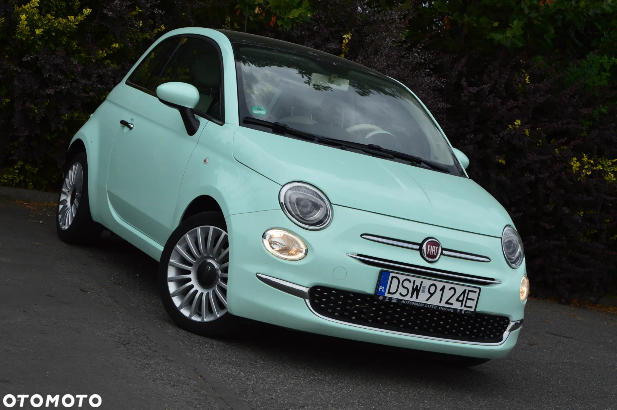 Fiat 500 - 25