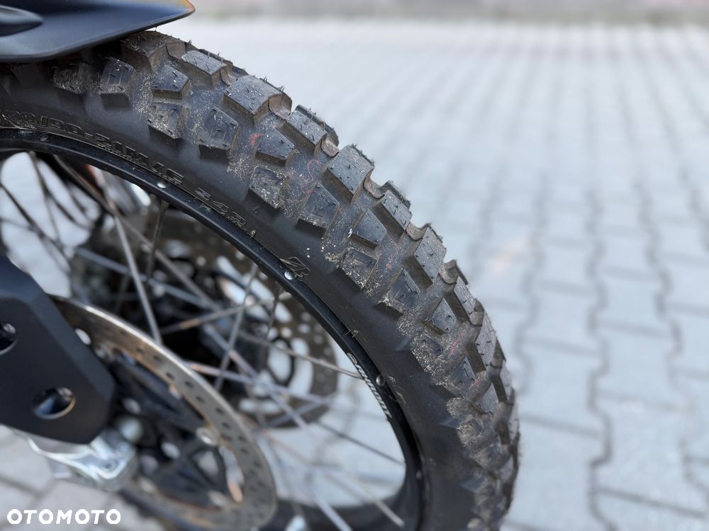 Triumph Tiger - 6