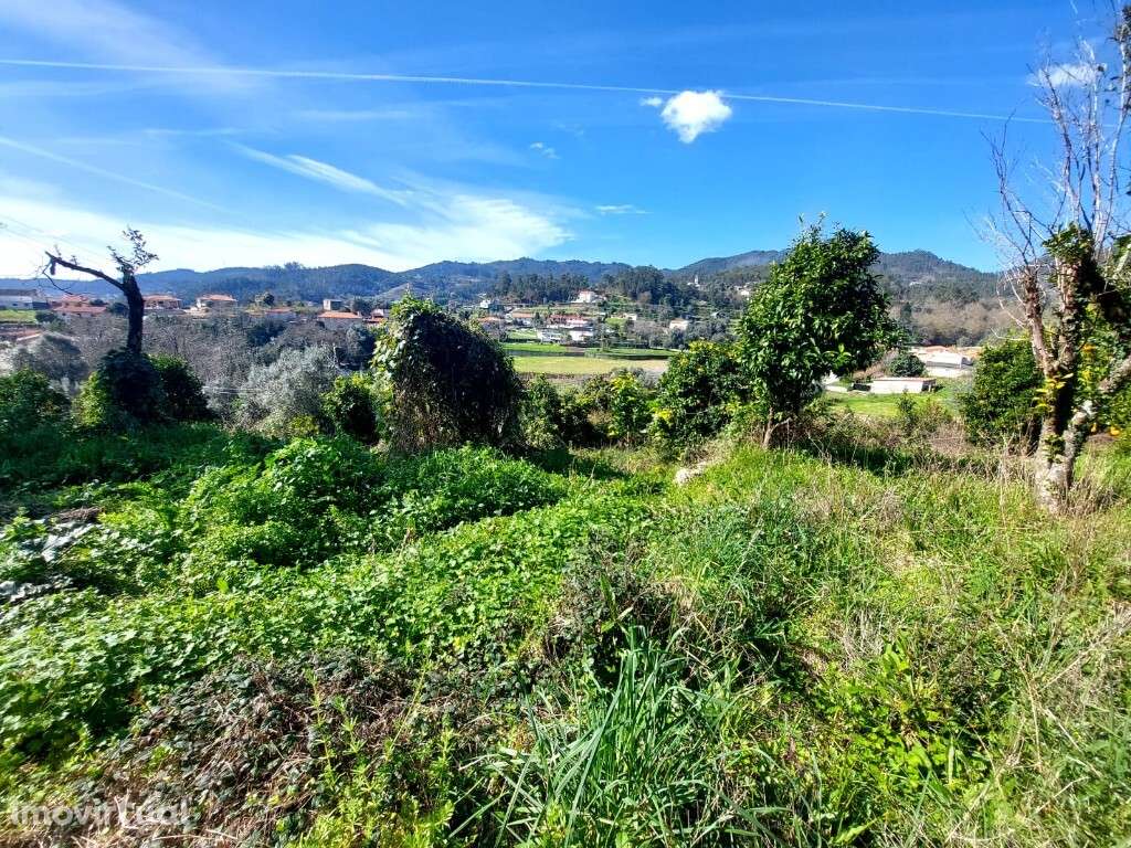 Terreno - Goães - Grande imagem: 3/8