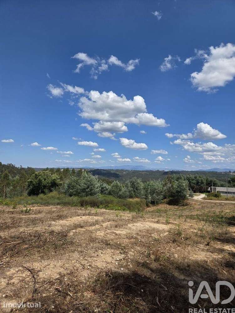 Terreno para construção em Santa Comba Dão e Couto do Mosteiro - Grande imagem: 5/27