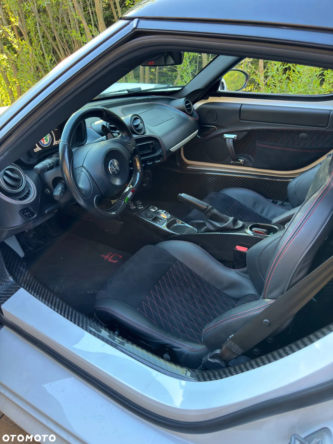 Alfa Romeo 4C 1750 TBi TCT - 19
