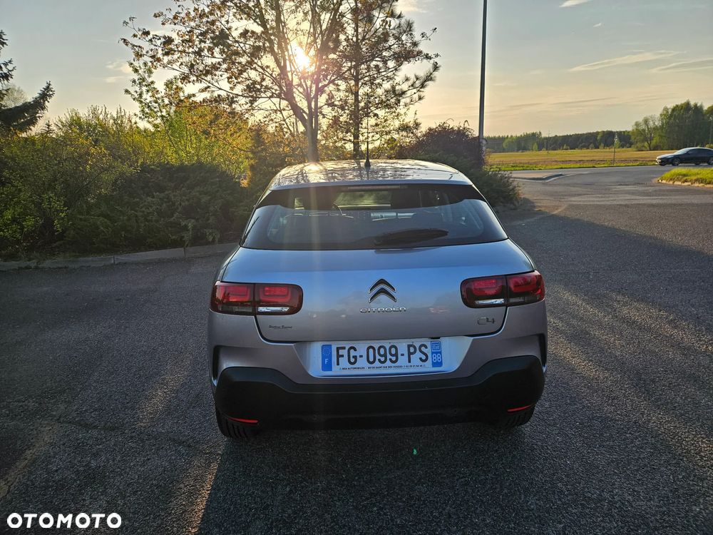 Citroën C4 Cactus 1.5 BlueHDi Shine Pack - 15