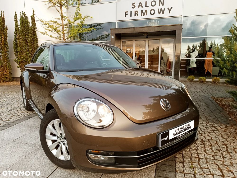 Volkswagen Beetle - 3