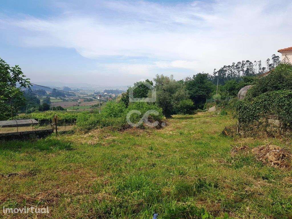 Terreno em Jesufrei! - Grande imagem: 4/4