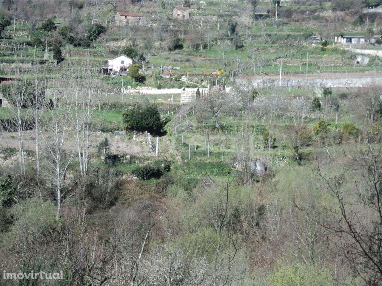 Terreno Rústico / Marco de Canaveses, Sande e São Lourenço - Grande imagem: 5/5