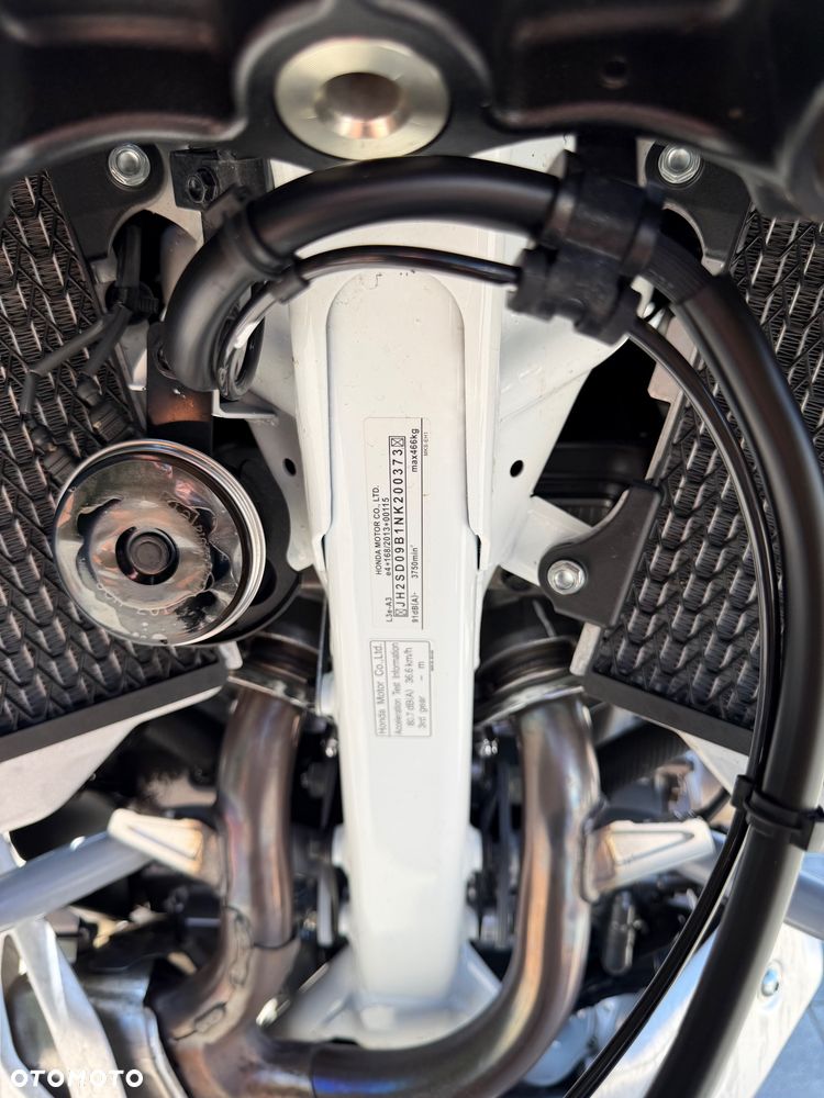 Honda CRF - 31