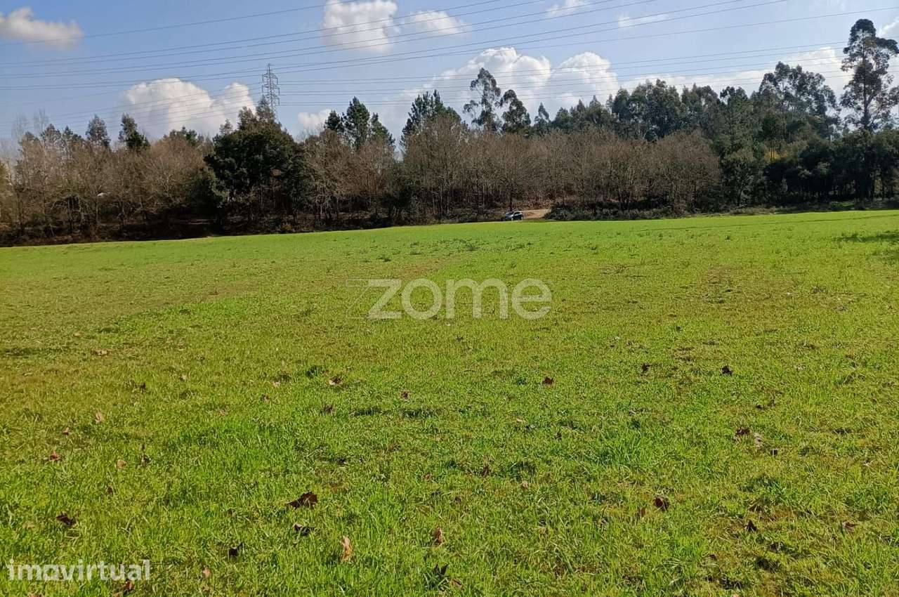 Terreno de 6080 m2, Cervães - Vila Verde - Grande imagem: 4/19