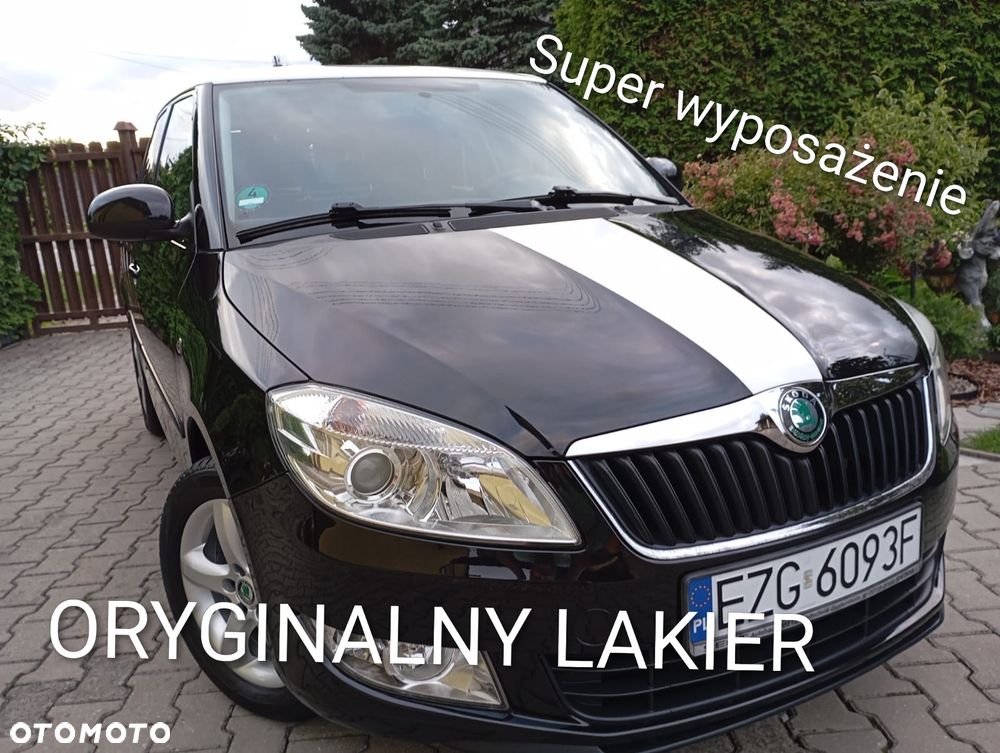 Skoda Fabia - 1