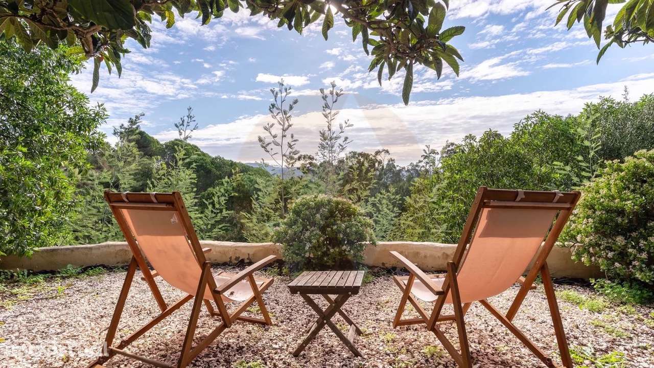 Propriedade com rentabilidade - Grande imagem: 4/27