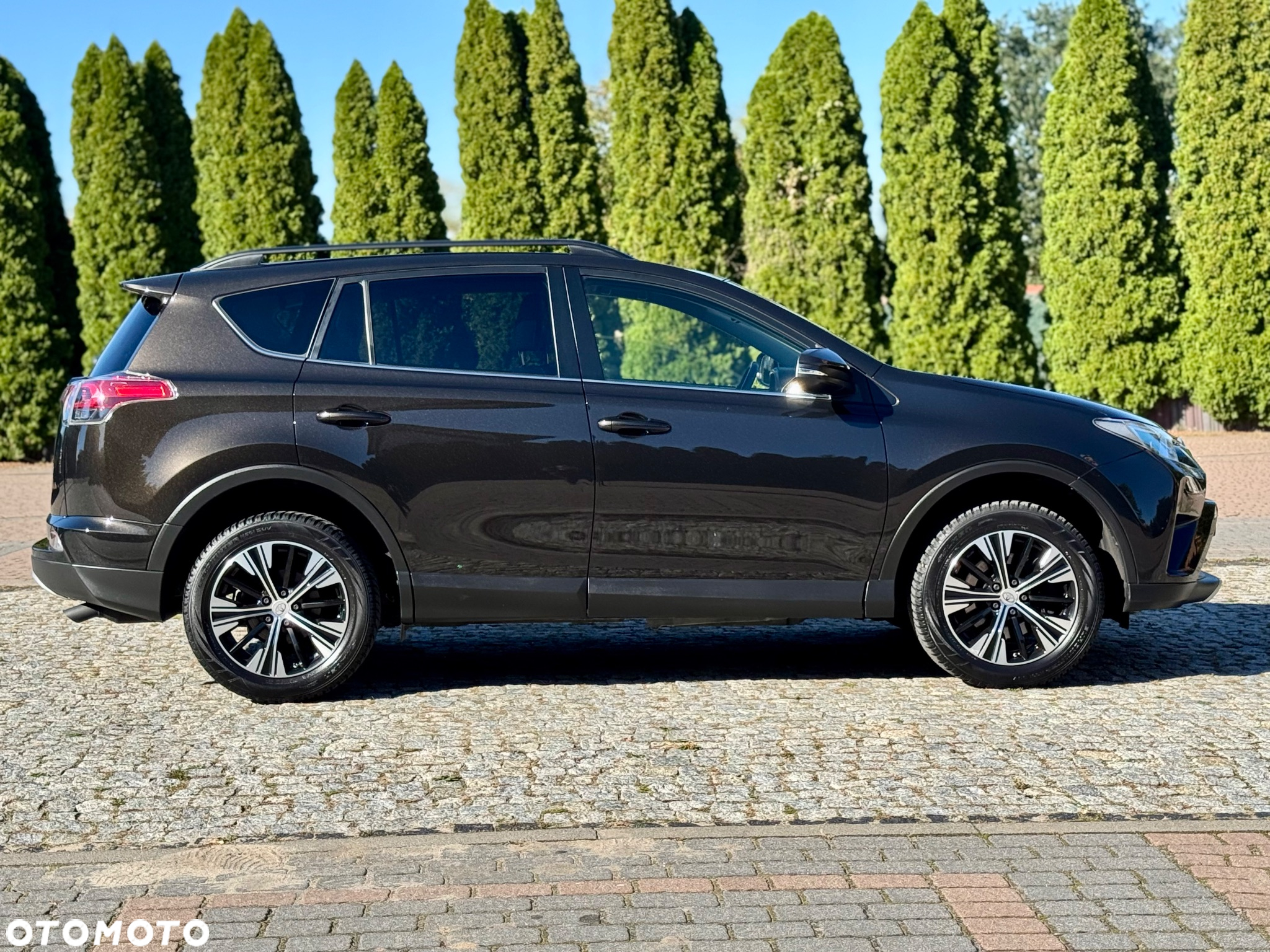 Toyota RAV4 2.0 D-4D Premium 4x2 - 24
