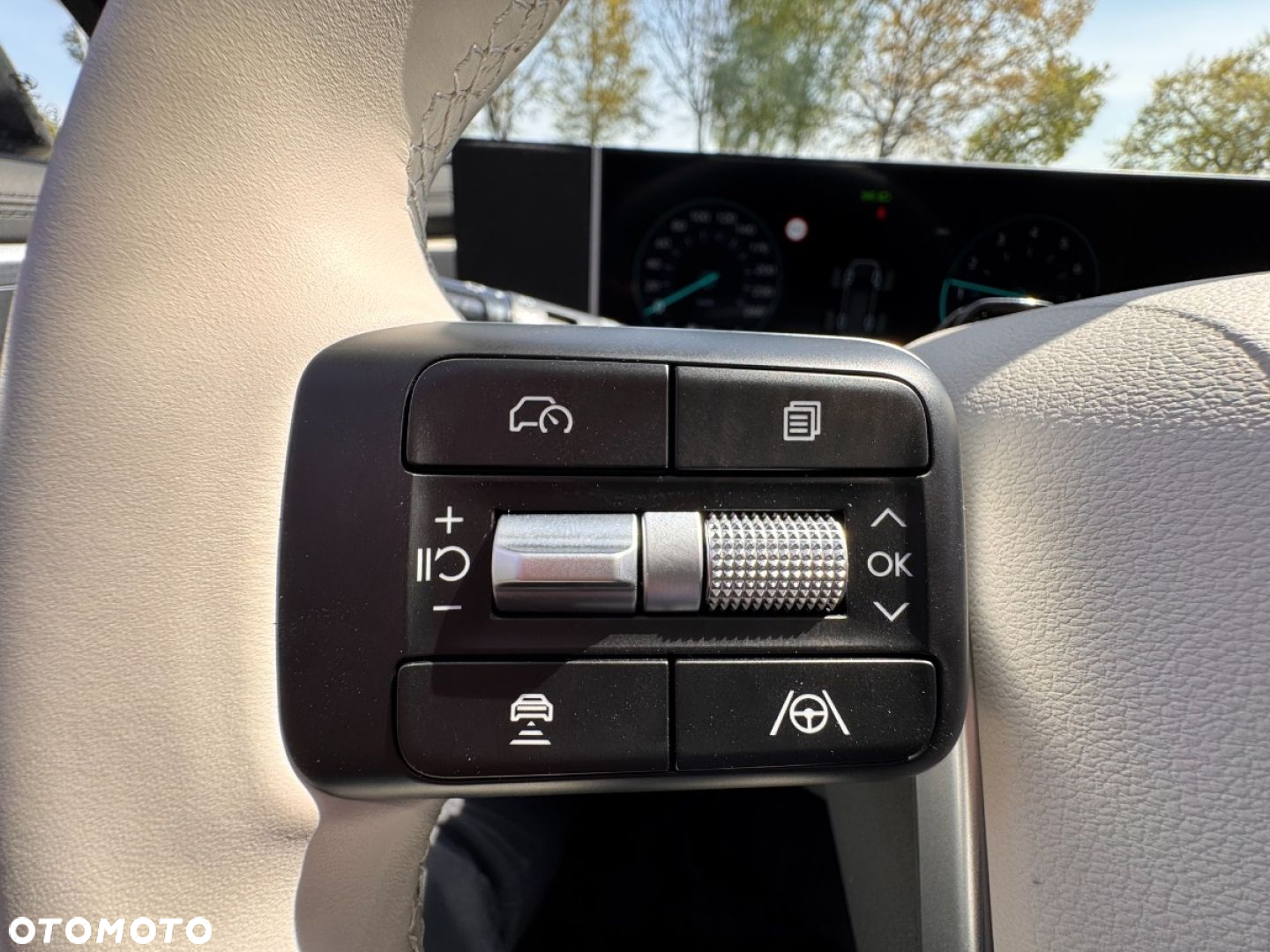 Hyundai Santa Fe - 34